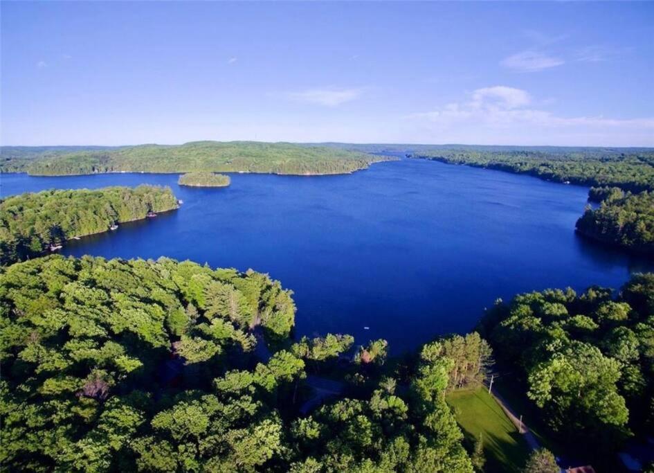Muskoka Manor Villa Dwight Eksteriør bilde